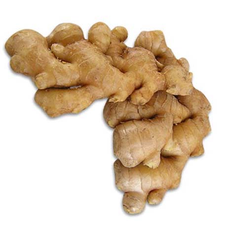 IMBIR CLARKA - ZINGIBER CLARKEII