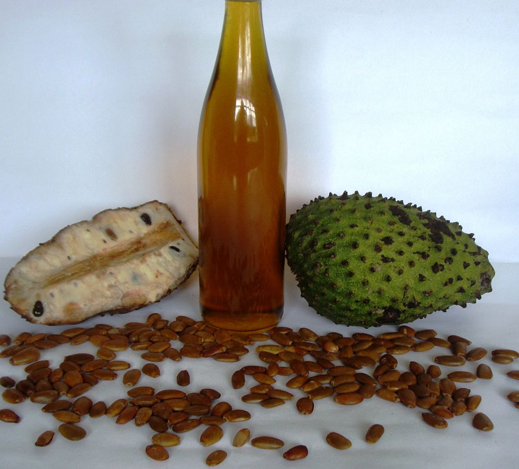 GRAVIOLA - WALKA Z RAKIEM - ANNONA MURICATA - obrazek 2