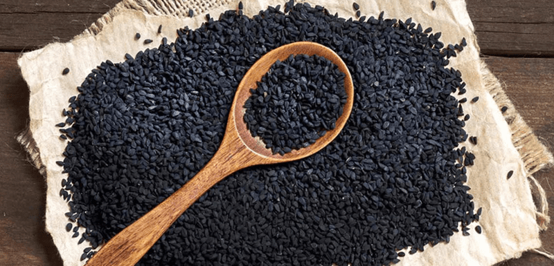 CZARNUSZKA SIEWNA - MIODODAJNA- NIGELLA SATIVA - obrazek 4